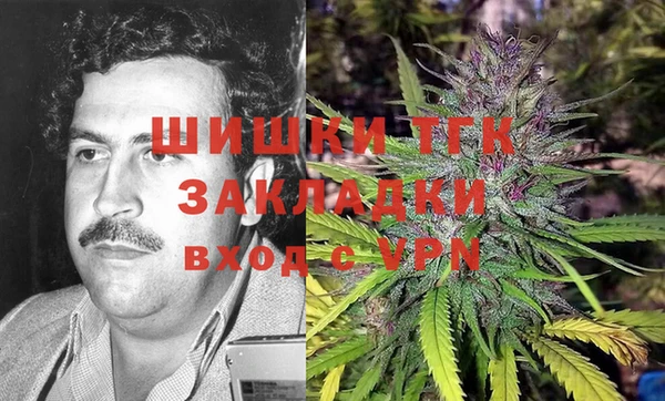 винт Абаза