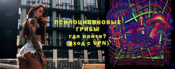 бошки Абдулино