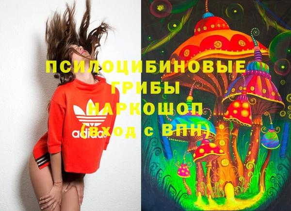 PSILOCYBIN Алексеевка
